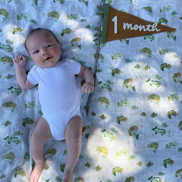 Baby Milestones Pennant, Newborn Photo Prop First Year