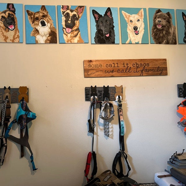 Custom Leash Holder / Leash Holder / Pet Storage