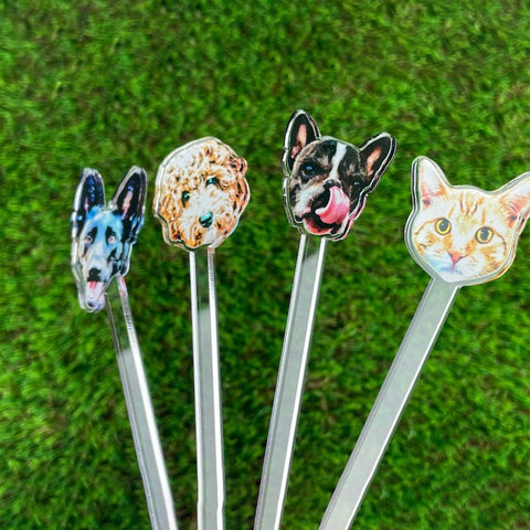 Pet Photo Stirrer, Cocktail Stirrer