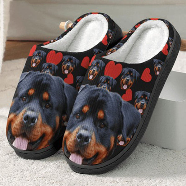 Custom Photo Dog Cat And Accessories Slipper