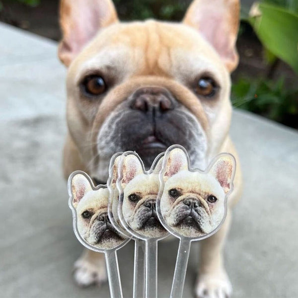 Pet Photo Stirrer, Cocktail Stirrer