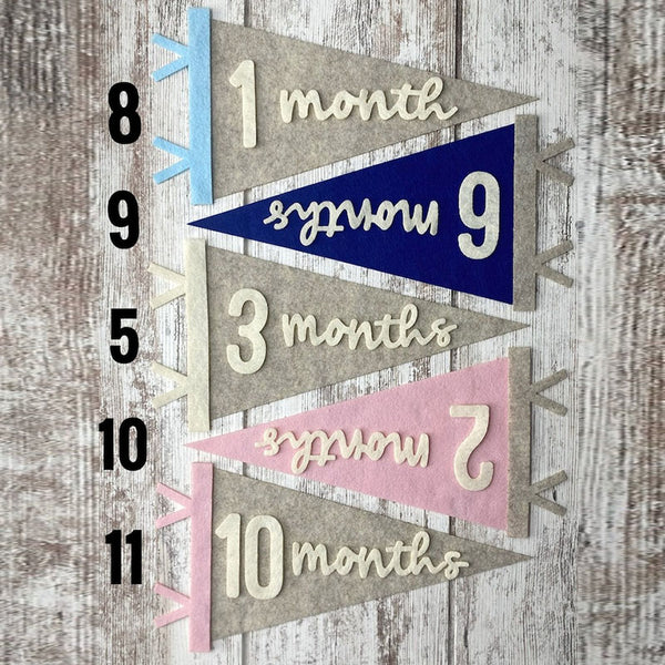 Baby Milestones Pennant, Newborn Photo Prop First Year