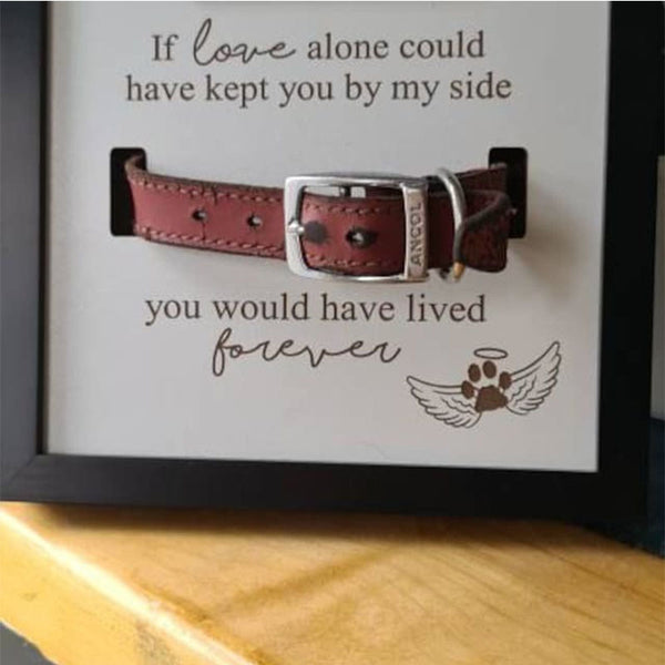 Personalised In loving memory Dog Collar Box Frame - Pet Memorial - Rainbow Bridge - Pet Loss Gift