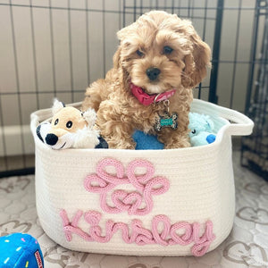 Pet Toy Basket, Personalised Pet Toy Storage