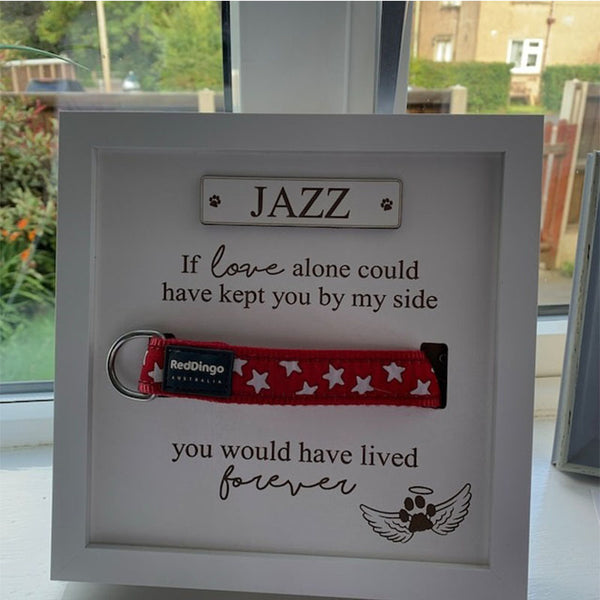 Personalised In loving memory Dog Collar Box Frame - Pet Memorial - Rainbow Bridge - Pet Loss Gift