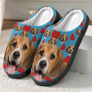 Custom Photo Dog Cat And Accessories Slipper