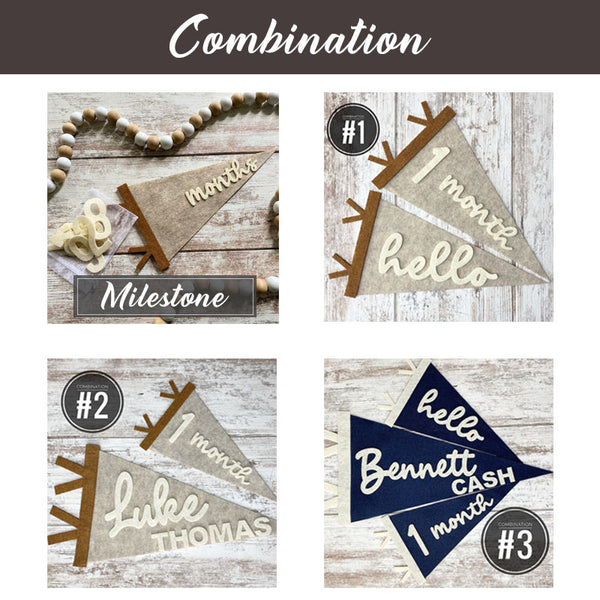 Baby Milestones Pennant, Newborn Photo Prop First Year