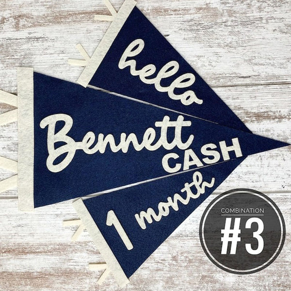 Baby Milestones Pennant, Newborn Photo Prop First Year