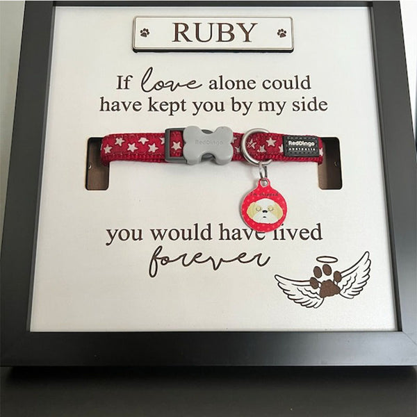 Personalised In loving memory Dog Collar Box Frame - Pet Memorial - Rainbow Bridge - Pet Loss Gift