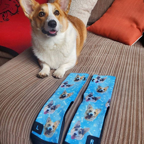 Customized Dog Socks - Put Your Cute Dog on Custom Socks, Dog Lovers, Dog GIft, Dog Gift Socks