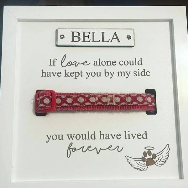 Personalised In loving memory Dog Collar Box Frame - Pet Memorial - Rainbow Bridge - Pet Loss Gift