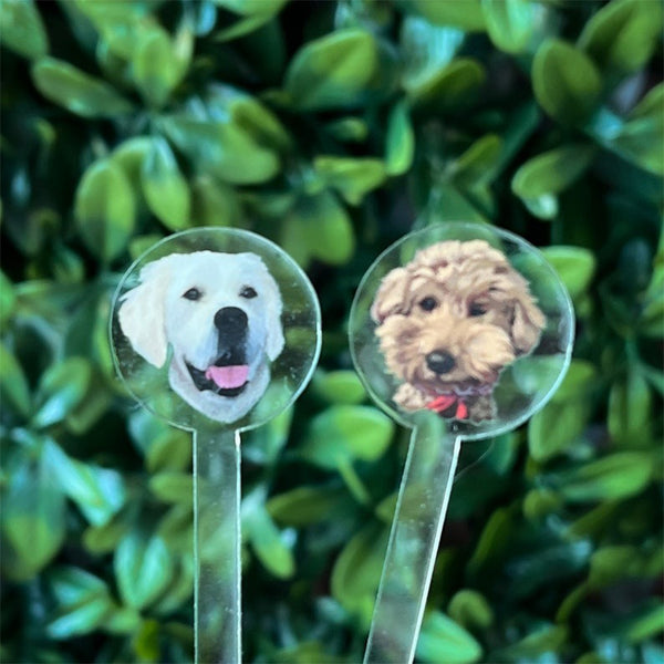 Dog Stir Stick for Wedding, Dog Drink Stirrer SET of 10