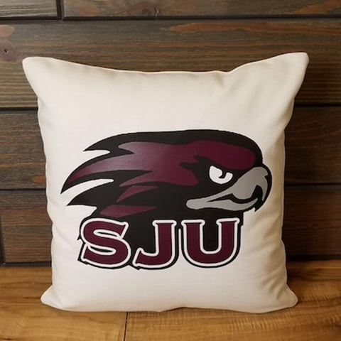 College Acceptance Announcement Signing Senior Night gift idea pillow