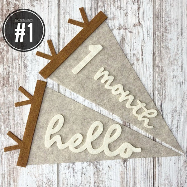 Baby Milestones Pennant, Newborn Photo Prop First Year