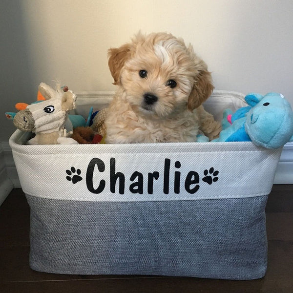 Cartoon Dog Toys Bin Storage, Dog Lovers Gift, Custom Dog Name