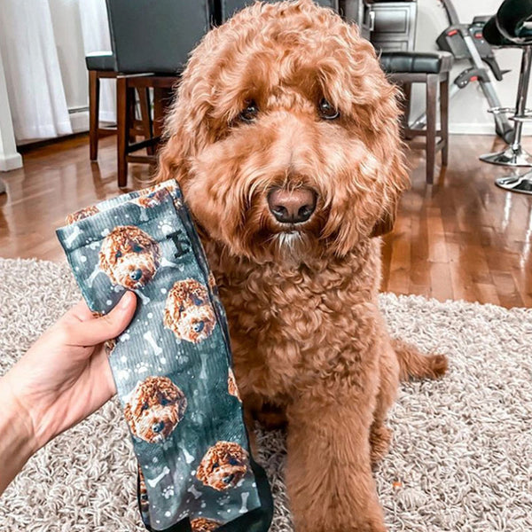 Customized Dog Socks - Put Your Cute Dog on Custom Socks, Dog Lovers, Dog GIft, Dog Gift Socks