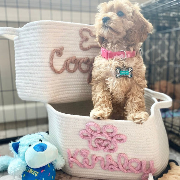 Pet Toy Basket, Personalised Pet Toy Storage