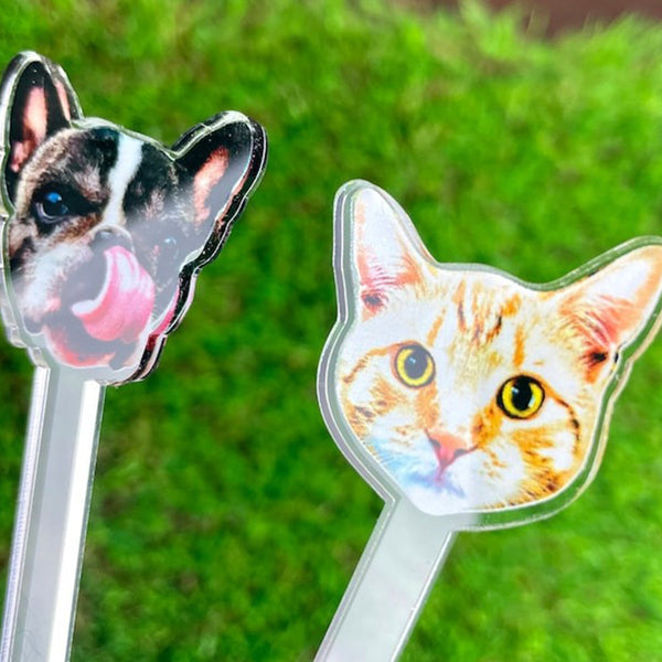 Pet Photo Stirrer, Cocktail Stirrer