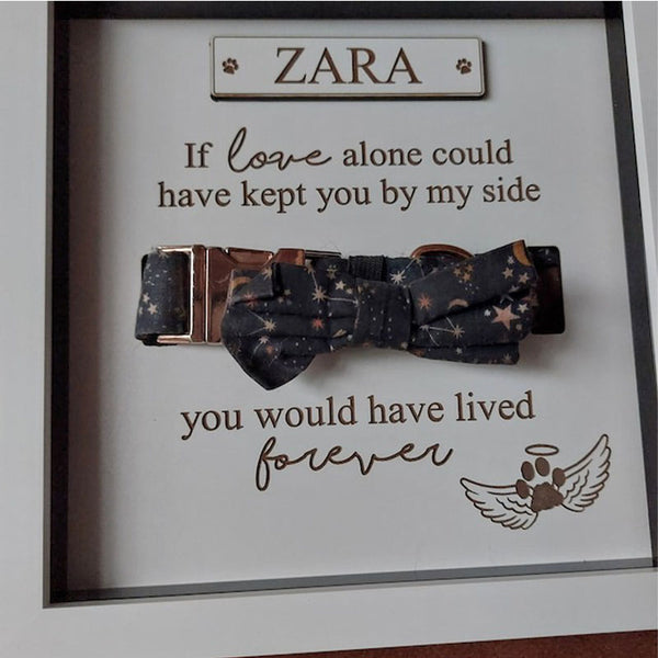 Personalised In loving memory Dog Collar Box Frame - Pet Memorial - Rainbow Bridge - Pet Loss Gift