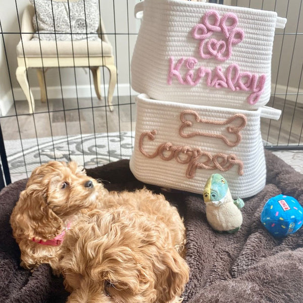 Pet Toy Basket, Personalised Pet Toy Storage