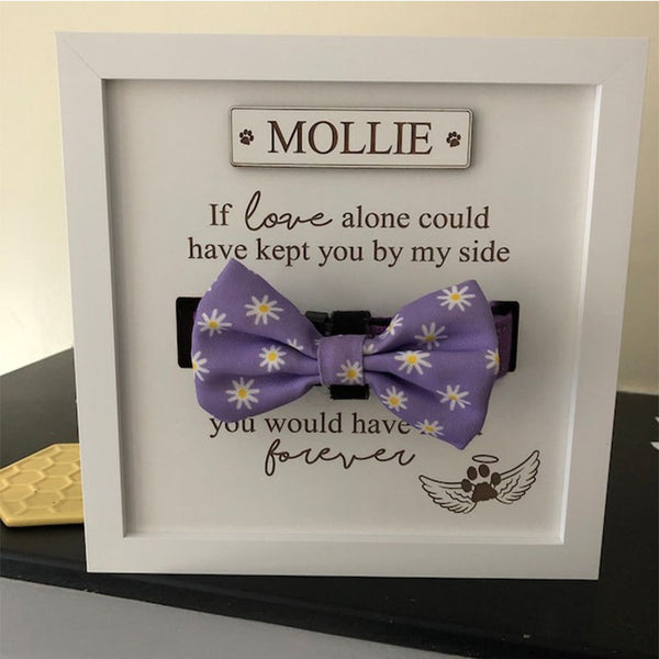 Personalised In loving memory Dog Collar Box Frame - Pet Memorial - Rainbow Bridge - Pet Loss Gift