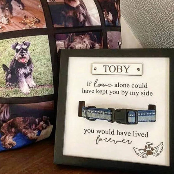 Personalised In loving memory Dog Collar Box Frame - Pet Memorial - Rainbow Bridge - Pet Loss Gift