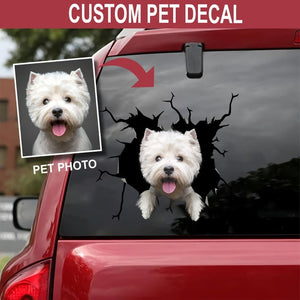 Personalized Your Pet Car Sticker Lover, Personalized Decal, Personalized Stickers