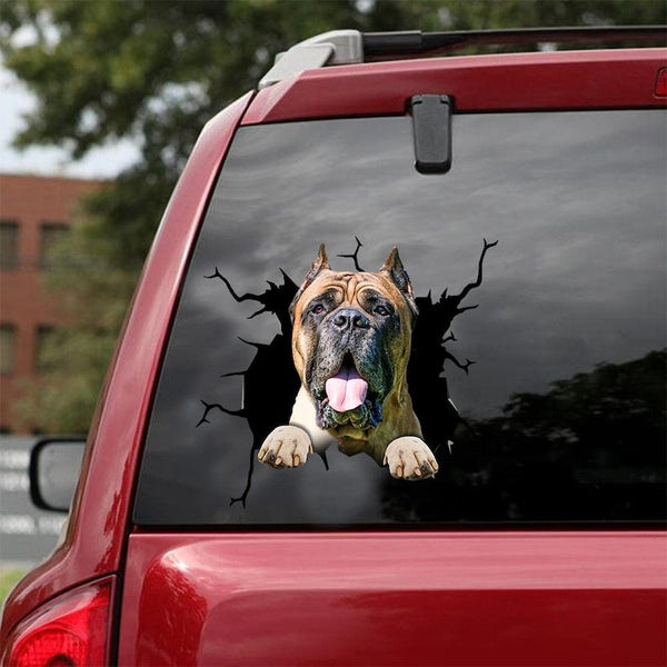 Personalized Your Pet Car Sticker Lover, Personalized Decal, Personalized Stickers