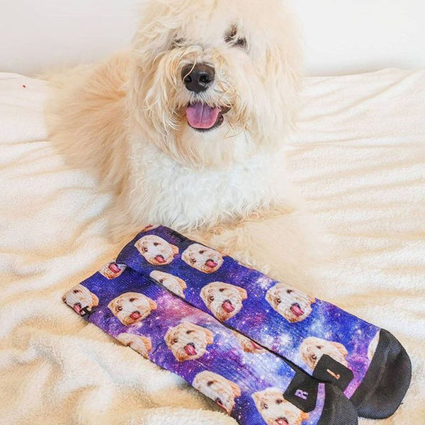 Customized Dog Socks - Put Your Cute Dog on Custom Socks, Dog Lovers, Dog GIft, Dog Gift Socks