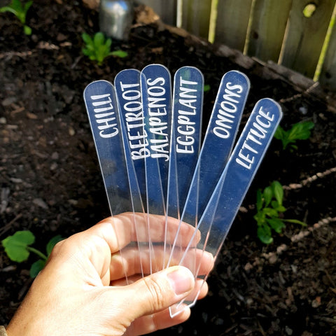 Laser Engraved Clear Veggie/Herb Garden Tags Packs