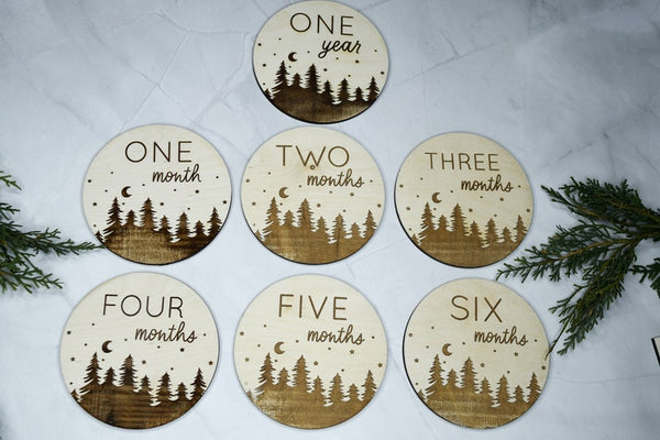 Baby Monthly Milestone Markers, Wood Milestone Discs, Baby Photo Props