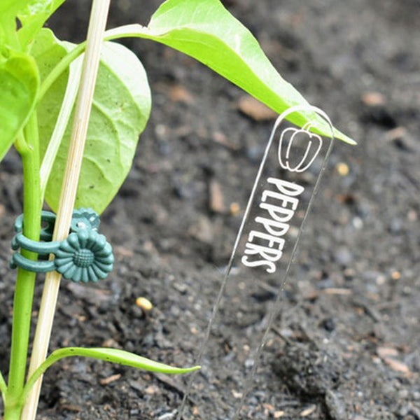 Plant Garden Marker Acrylic Stakes