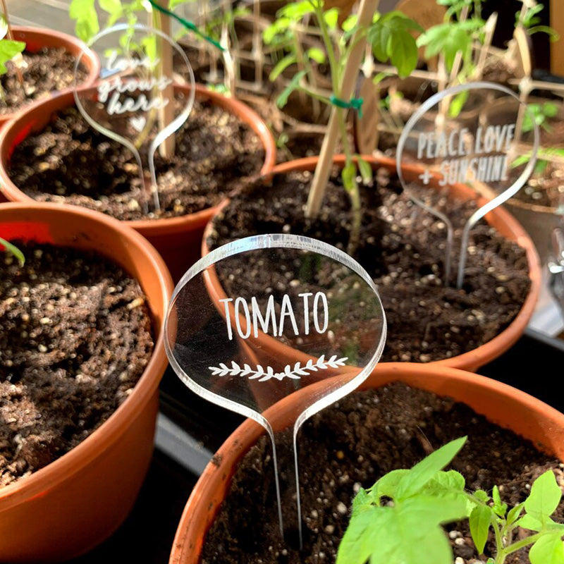 Custom Clear Acrylic Set of Garden Markers , Personalized Herb Labels , Weather Proof , Vegetable Garden