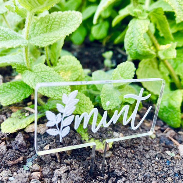 Durable Garden Stakes, Great as Kitchen Herb Signs, Succulent Plant Labels, Small Vegetable Planter Markers, Gift for Gardening Lover