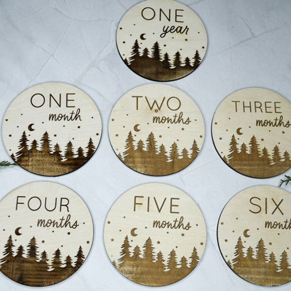 Baby Monthly Milestone Markers, Wood Milestone Discs, Baby Photo Props