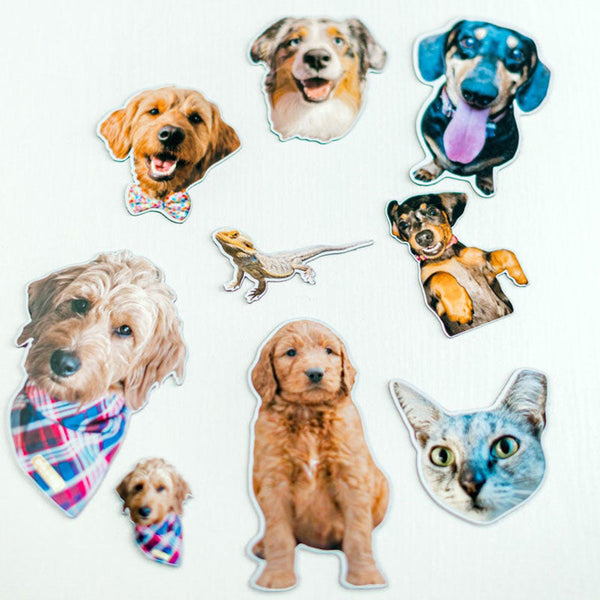 Custom Pet Magnets | Cute Animal Magnets | Decorative Magnets-set of 3-set of 5