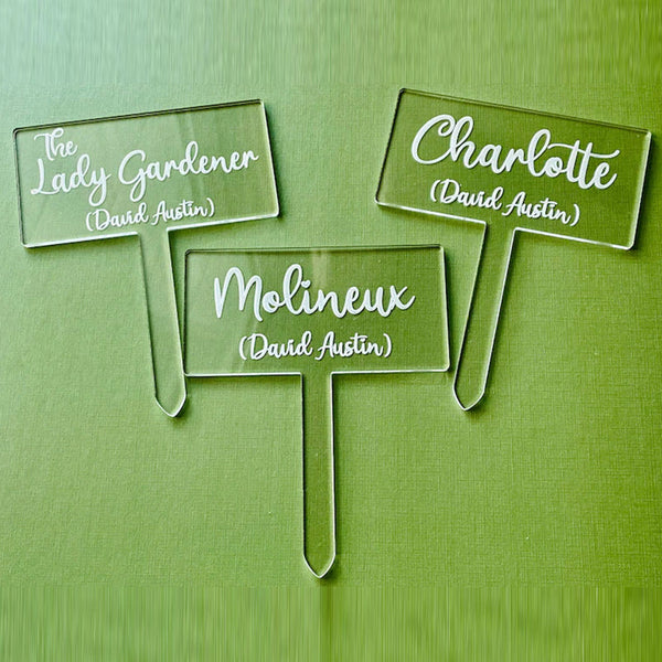 Durable Garden Stakes, Great as Kitchen Herb Signs, Succulent Plant Labels, Small Vegetable Planter Markers, Gift for Gardening Lover