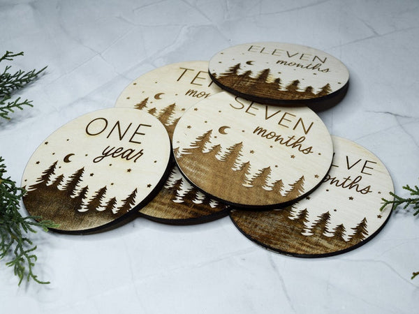 Baby Monthly Milestone Markers, Wood Milestone Discs, Baby Photo Props