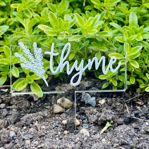 Durable Garden Stakes, Great as Kitchen Herb Signs, Succulent Plant Labels, Small Vegetable Planter Markers, Gift for Gardening Lover