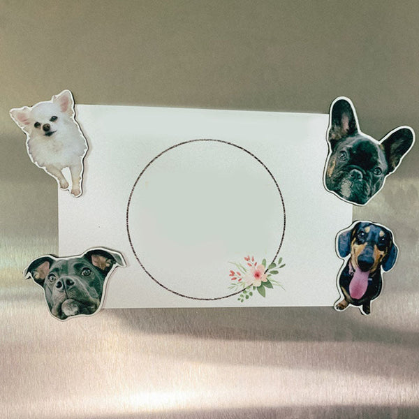 Custom Pet Magnets | Cute Animal Magnets | Decorative Magnets-set of 3-set of 5